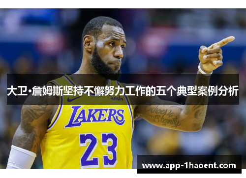 大卫·詹姆斯坚持不懈努力工作的五个典型案例分析