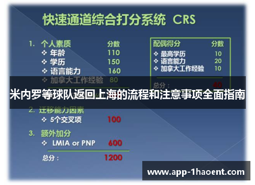 米内罗等球队返回上海的流程和注意事项全面指南