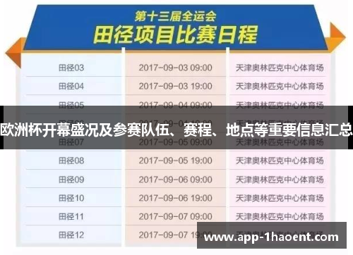欧洲杯开幕盛况及参赛队伍、赛程、地点等重要信息汇总
