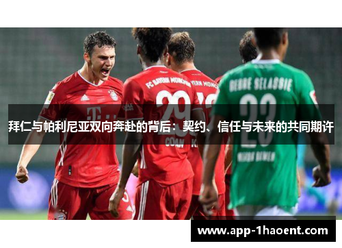 拜仁与帕利尼亚双向奔赴的背后：契约、信任与未来的共同期许