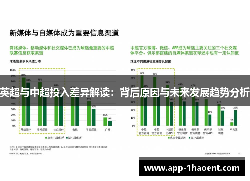 英超与中超投入差异解读:背后原因与未来发展趋势分析 英超与中超投入差异解读:背后原因与未来发展趋势分析