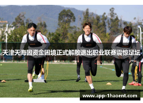 天津天海因资金困境正式解散退出职业联赛震惊足坛 天津天海因资金困境正式解散退出职业联赛震惊足坛